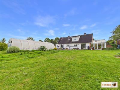 Picture 35